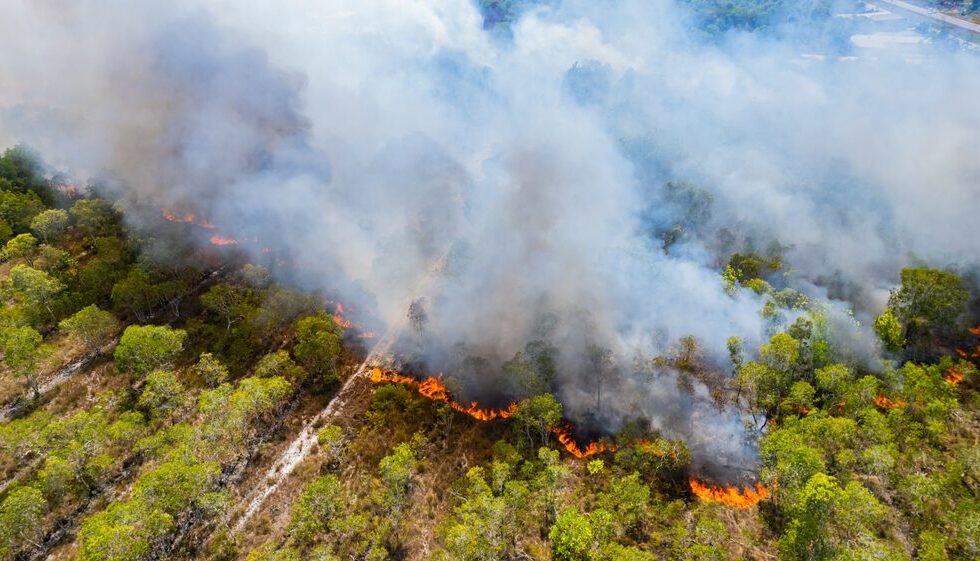 Incendi boschivi in Italia 2026
