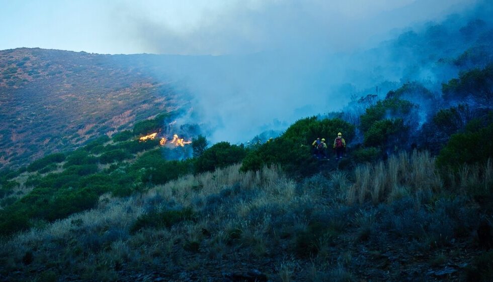 Intervento dei Vigili del Fuoco a Palermo per incendi