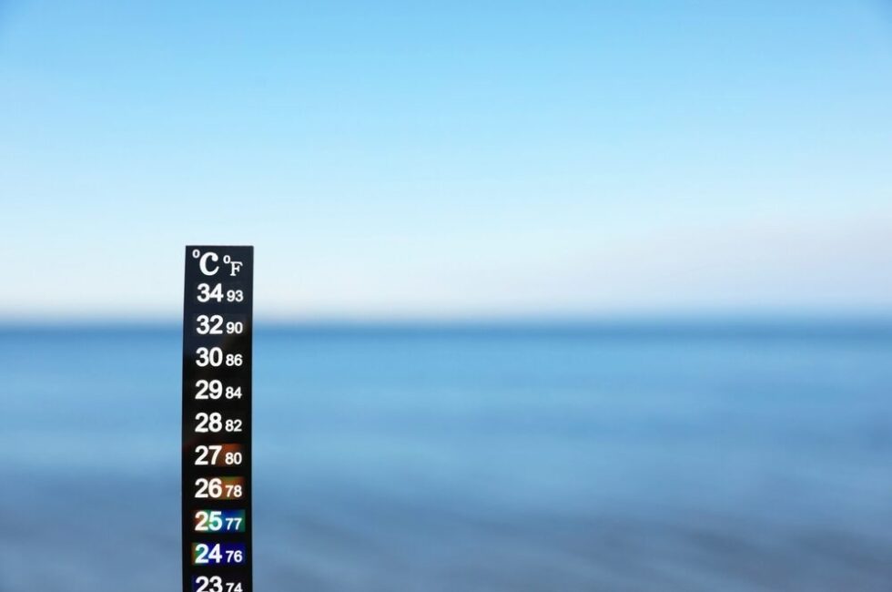 Temperatura record del mare